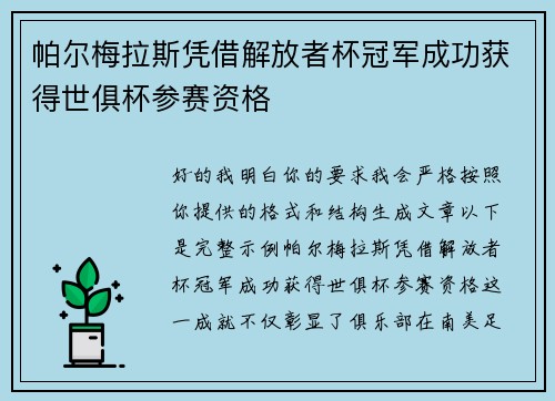 帕尔梅拉斯凭借解放者杯冠军成功获得世俱杯参赛资格